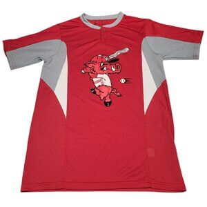 Arkansas Razorbacks Holloway Youth Baseball Jersey Size Large Red Tusk Number 22